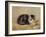 The Tabby-Henriette Ronner-Knip-Framed Giclee Print