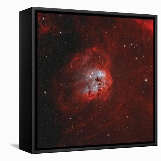 The Tadpole Nebula-Stocktrek Images-Framed Premier Image Canvas