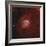 The Tadpole Nebula-Stocktrek Images-Framed Photographic Print