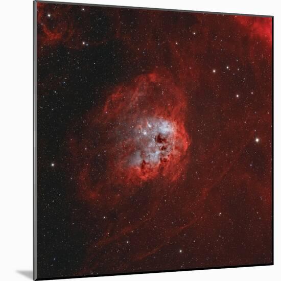 The Tadpole Nebula-Stocktrek Images-Mounted Photographic Print
