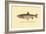 The Tahoe Trout-H.h. Leonard-Framed Art Print