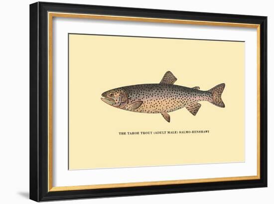 The Tahoe Trout-H.h. Leonard-Framed Art Print