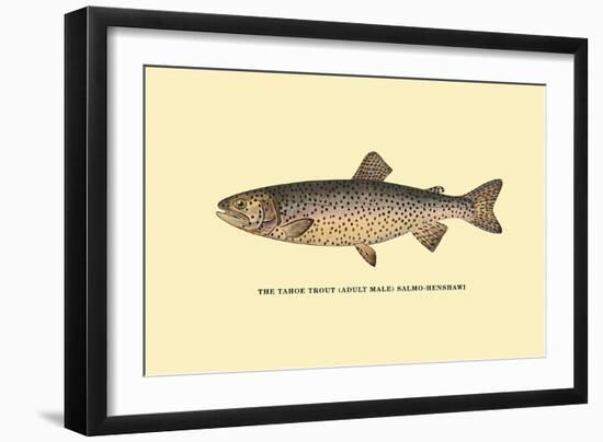 The Tahoe Trout-H.h. Leonard-Framed Art Print