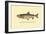 The Tahoe Trout-H.h. Leonard-Framed Art Print