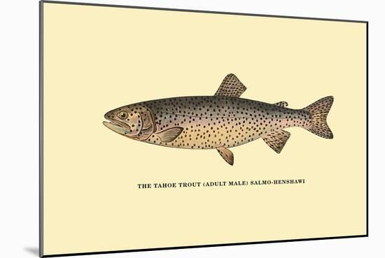 The Tahoe Trout-H.h. Leonard-Mounted Art Print