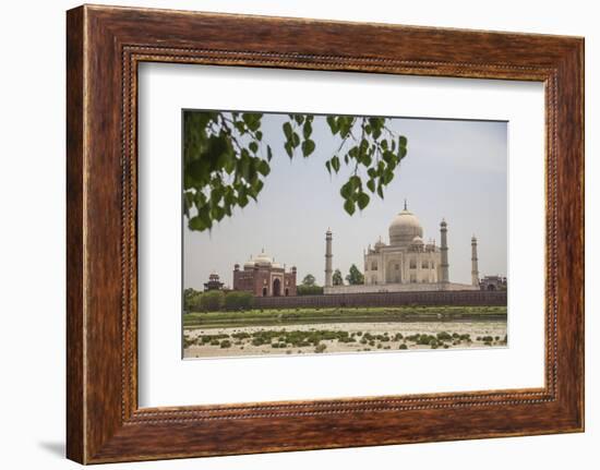 The Taj Mahal, Agra, Uttar Pradesh, India-Roberto Moiola-Framed Photographic Print