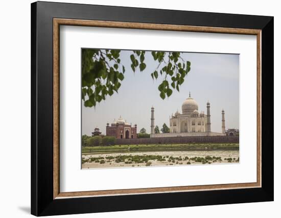 The Taj Mahal, Agra, Uttar Pradesh, India-Roberto Moiola-Framed Photographic Print