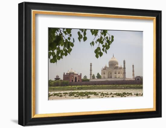 The Taj Mahal, Agra, Uttar Pradesh, India-Roberto Moiola-Framed Photographic Print