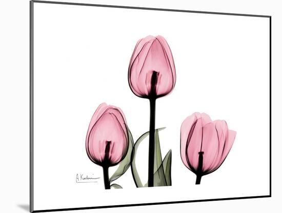 The Tallest Tulip-Albert Koetsier-Mounted Art Print