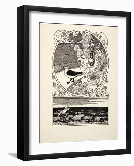 The Tame Seagull, from A Hundred Anecdotes of Animals, Pub. 1924 (Engraving)-Percy James Billinghurst-Framed Giclee Print