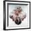 The Taming of Cupid-Sebastiano Ricci-Framed Giclee Print