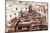 The Tannery in Fez, Morocco-Peter Adams-Mounted Photographic Print