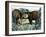 The Tapir-Arthur Oxenham-Framed Giclee Print