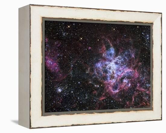 The Tarantula Nebula-Stocktrek Images-Framed Premier Image Canvas