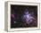 The Tarantula Nebula-Stocktrek Images-Framed Premier Image Canvas