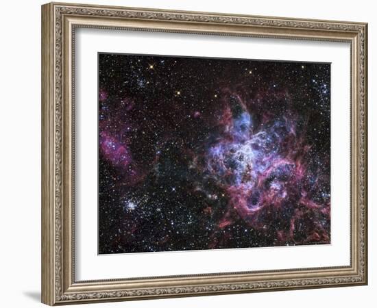 The Tarantula Nebula-Stocktrek Images-Framed Photographic Print