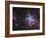 The Tarantula Nebula-Stocktrek Images-Framed Photographic Print