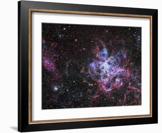 The Tarantula Nebula-Stocktrek Images-Framed Photographic Print