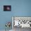 The Tarantula Nebula-Stocktrek Images-Mounted Photographic Print displayed on a wall