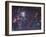 The Tarantula Nebula-Stocktrek Images-Framed Photographic Print