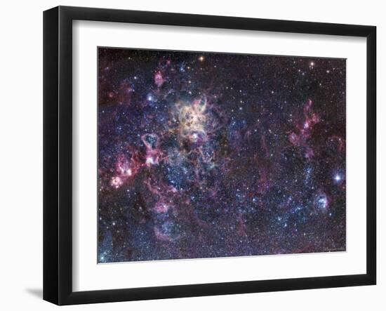 The Tarantula Nebula-Stocktrek Images-Framed Photographic Print