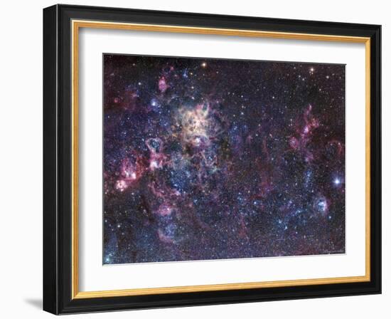 The Tarantula Nebula-Stocktrek Images-Framed Photographic Print