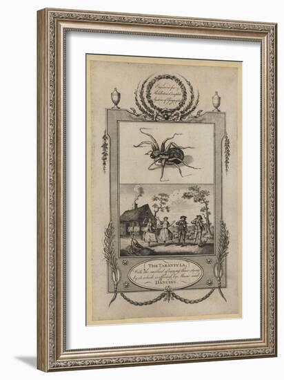 The Tarantula, with the Method of Curing Those Stung by It, Which Is Effected by Music and Dancing-null-Framed Giclee Print