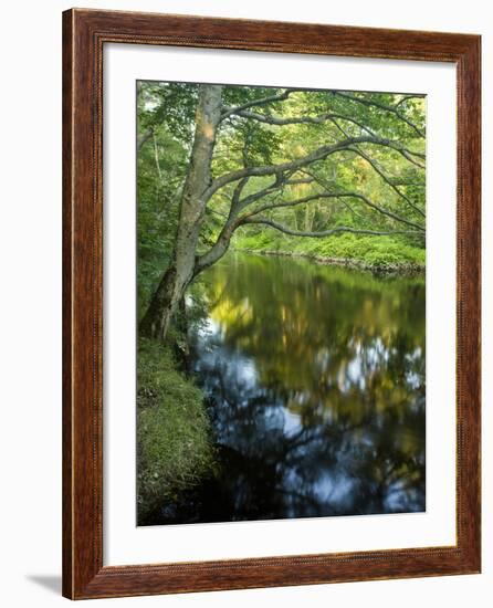 The Taunton River in Bridgewater, Massachusetts, Usa-Jerry & Marcy Monkman-Framed Photographic Print