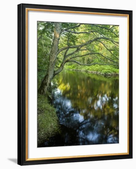 The Taunton River in Bridgewater, Massachusetts, Usa-Jerry & Marcy Monkman-Framed Photographic Print