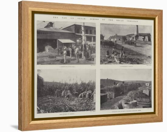 The Tax on Sugar, Scenes of the Sugar Industry-null-Framed Premier Image Canvas