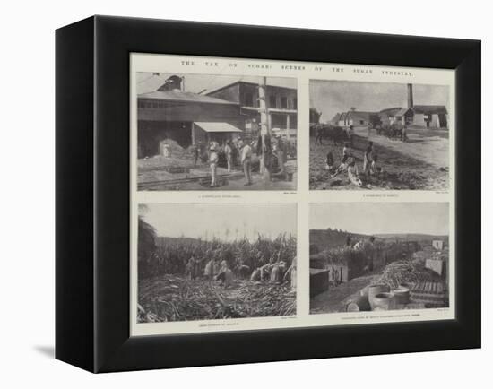 The Tax on Sugar, Scenes of the Sugar Industry-null-Framed Premier Image Canvas