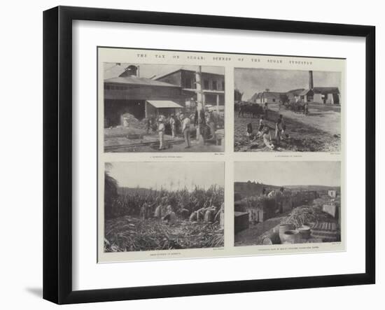 The Tax on Sugar, Scenes of the Sugar Industry-null-Framed Giclee Print