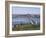 The Tay Bridge, Dundee, Angus, Scotland, United Kingdom-Adam Woolfitt-Framed Photographic Print