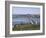 The Tay Bridge, Dundee, Angus, Scotland, United Kingdom-Adam Woolfitt-Framed Photographic Print