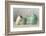 The Teapot-Ellen Van Deelen-Framed Photographic Print