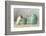 The Teapot-Ellen Van Deelen-Framed Photographic Print