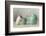 The Teapot-Ellen Van Deelen-Framed Photographic Print