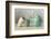 The Teapot-Ellen Van Deelen-Framed Photographic Print