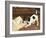 The Tearaway-Frank Paton-Framed Giclee Print