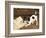 The Tearaway-Frank Paton-Framed Giclee Print