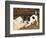 The Tearaway-Frank Paton-Framed Giclee Print