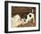 The Tearaway-Frank Paton-Framed Giclee Print