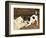 The Tearaway-Frank Paton-Framed Giclee Print