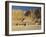 The Temple of Hatsepsut, Valley of the Queens, Thebes, Egypt, Africa-Gavin Hellier-Framed Photographic Print