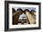 The Temple of Karnak at Luxor, Egypt.-Julien McRoberts-Framed Photographic Print