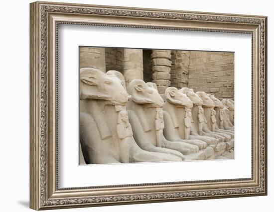 The Temple of Karnak at Luxor, Egypt.-Julien McRoberts-Framed Photographic Print