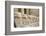 The Temple of Karnak at Luxor, Egypt.-Julien McRoberts-Framed Photographic Print