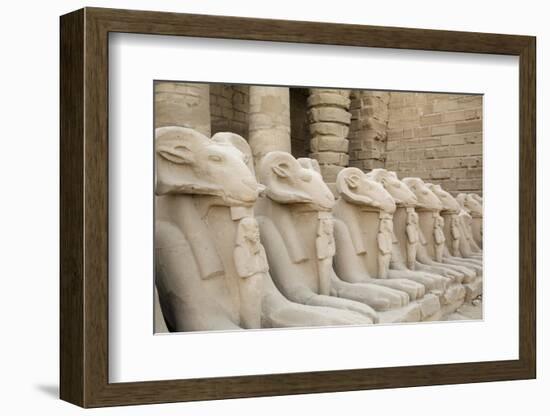 The Temple of Karnak at Luxor, Egypt.-Julien McRoberts-Framed Photographic Print