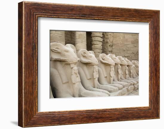 The Temple of Karnak at Luxor, Egypt.-Julien McRoberts-Framed Photographic Print