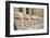 The Temple of Karnak at Luxor, Egypt.-Julien McRoberts-Framed Photographic Print